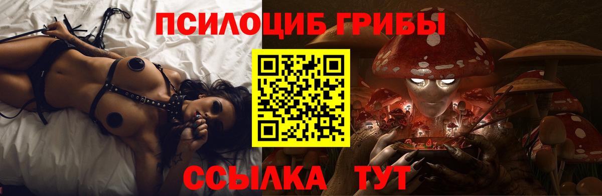 Галлюциногенные грибы MAGIC MUSHROOMS  Галлюциногенные грибы Cubensis  Вход с VPN  Кингисепп 